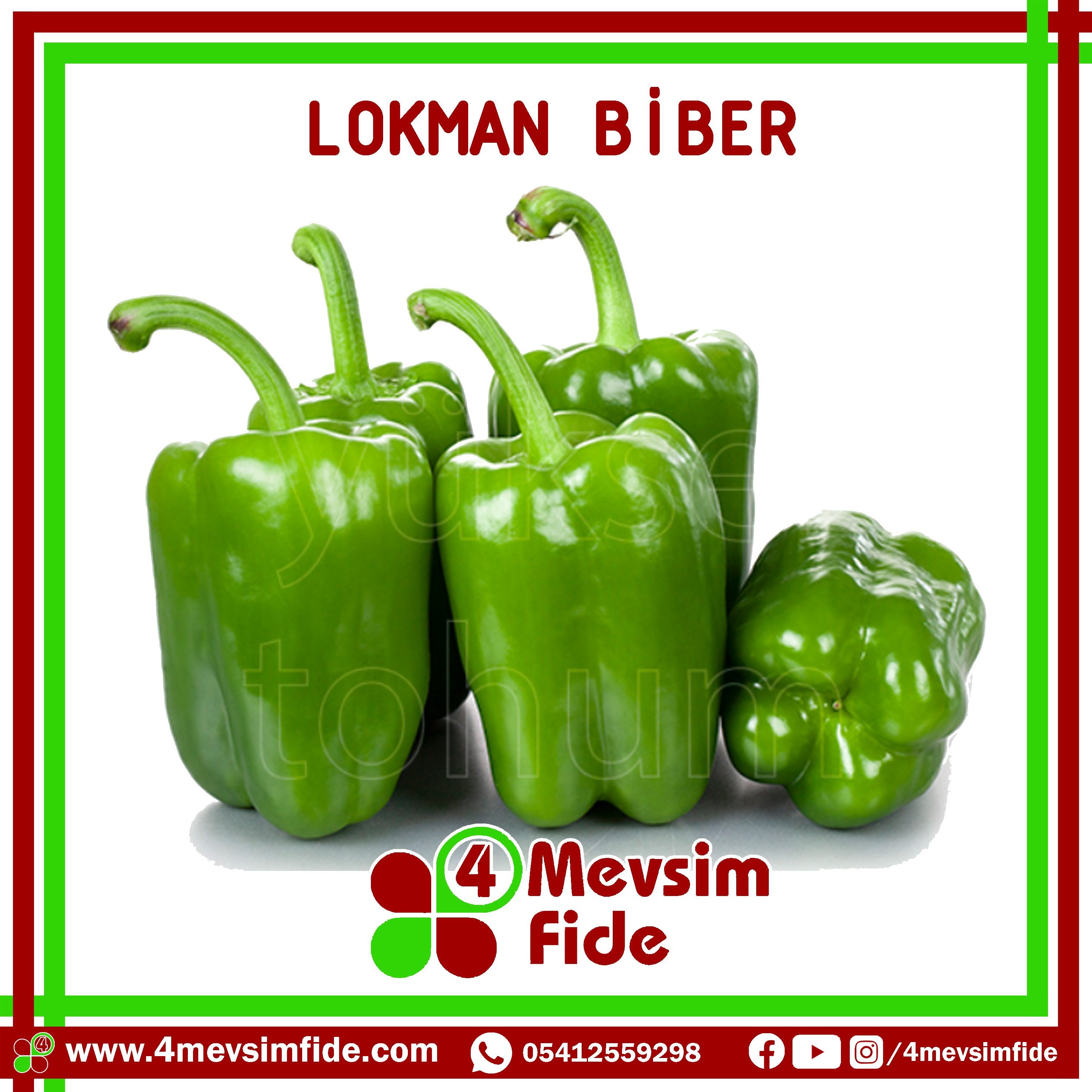 Lokman F1